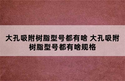 大孔吸附树脂型号都有啥 大孔吸附树脂型号都有啥规格